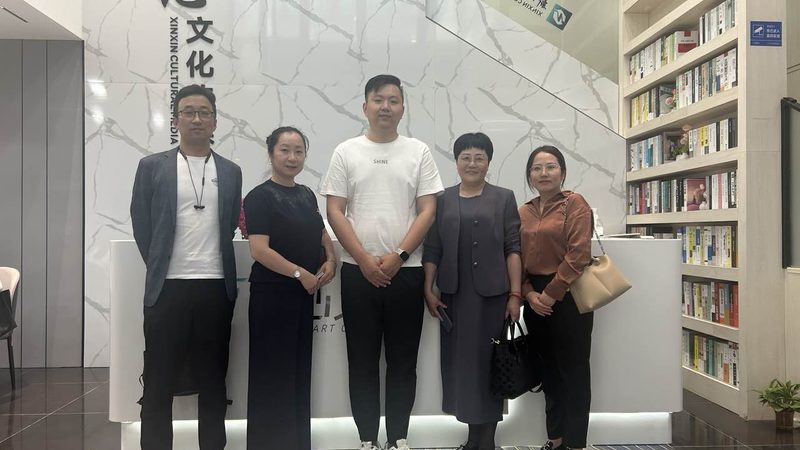 品牌策划案例精选：揭秘成功背后的策略与执行