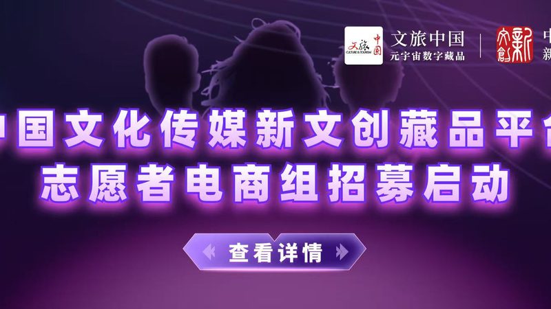 视频素材网站会员定价的底层逻辑与隐藏成本
